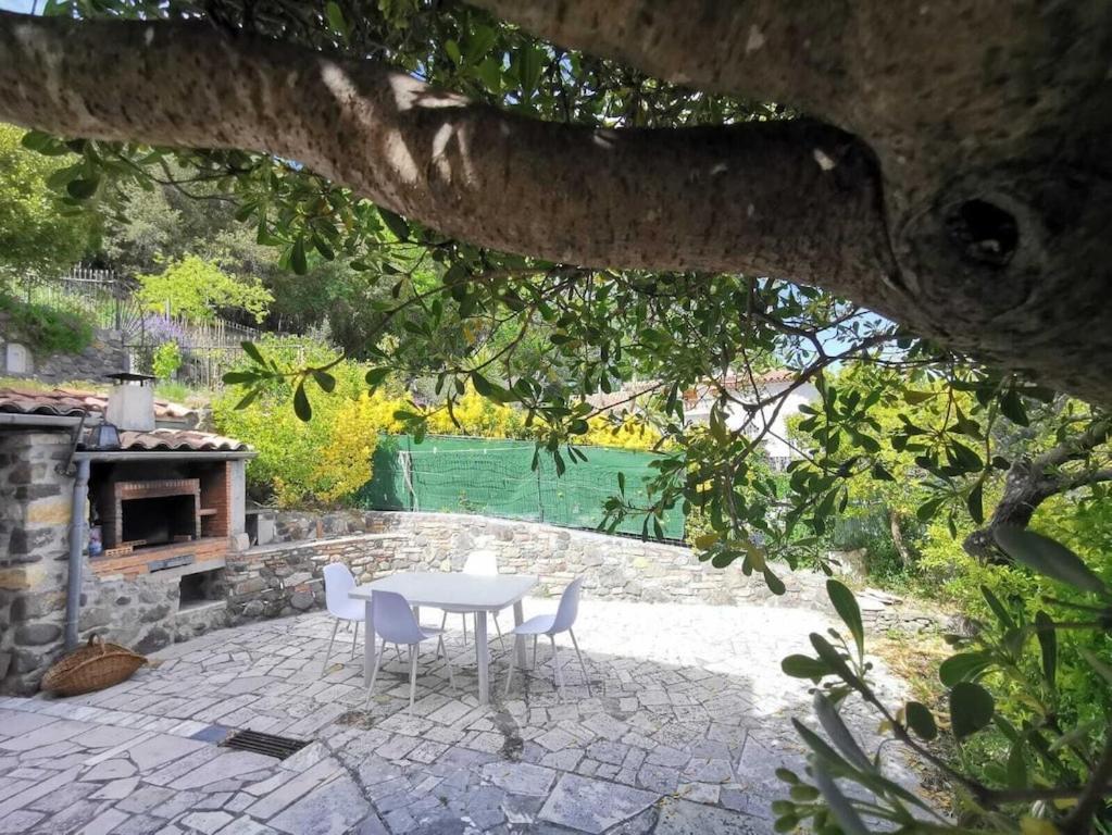 Bas De Villa Au Calme Villeneuve-Loubet Zewnętrze zdjęcie